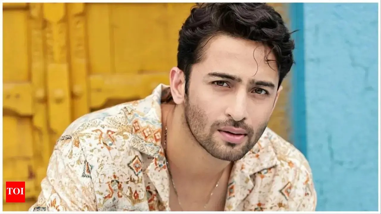 Shaheer Sheikh